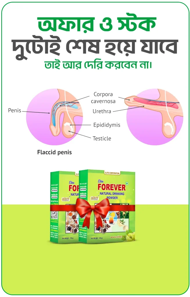 Page-3-e1756229658225-654x1024